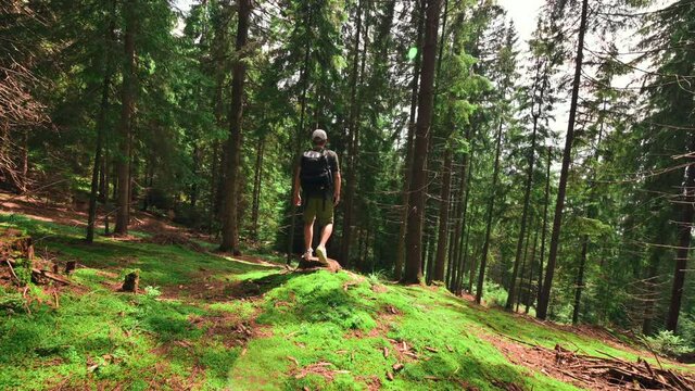 A young man catches a cellular network on a smartphone while walking in the mountains, stands in a beautiful coniferous forest and uses a smartphone.