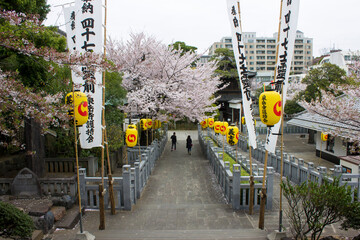 Tokyo, Japan. Sengaku-ji, a Soto Zen Buddhist temple. Final resting place of Asano Naganori and his 47 ronin