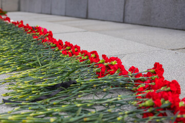 red flowers in memory of victims in the world war on victory day on 9 may, Grave of Unknown soldier, memorial to fallen soldiers.day of victory, bloody wars.red carnations,Great Patriotic War.