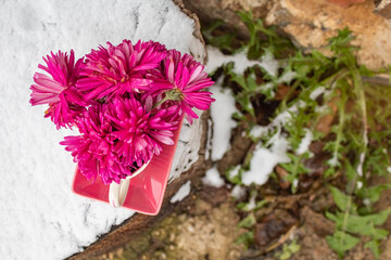 Bright buds chrysanthemums in a cup on a saucer stand on a stump 