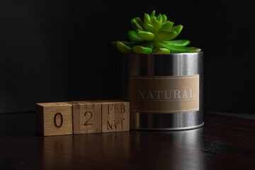 Feb 02st. Image of Feb 02 wooden cube calendar and an artificial plant on a brown wooden table reflection and black background. with empty space for text