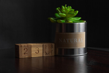 Feb 23st. Image of Feb 23 wooden cube calendar and an artificial plant on a brown wooden table reflection and black background. with empty space for text