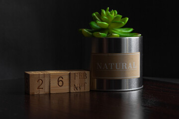 Feb 26st. Image of Feb 26 wooden cube calendar and an artificial plant on a brown wooden table reflection and black background. with empty space for text