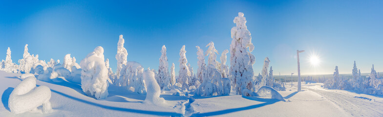 Winter panorama in Lapland Finland.