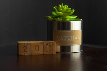 March 20. Image of the March 20 calendar of wooden cubes and an artificial plant on a brown wooden table reflection and black background. with empty space for text