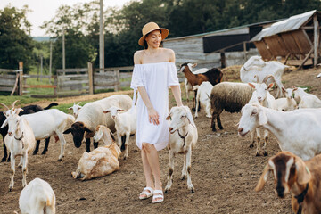 Naklejka premium Beautiful woman and white dress and in a beige hat among goats on an eco farm