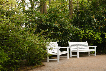 white bench in the park