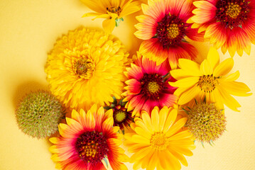 nice flowers on the yellow background