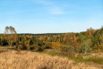 Obraz premium autumn landscape with dried grass