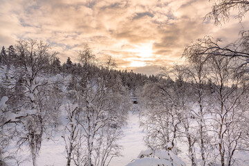 Winter landscape with  frozen trees in winter in Lapland, Finland	
