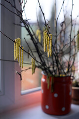 Fototapeta na wymiar branches of a tree with their yellow buds and catkins in the red can on the windowsill early in spring