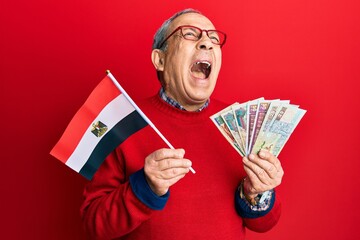 Handsome senior man with grey hair holding egypt flag and egyptian pounds banknotes angry and mad...