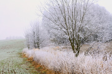Obraz na płótnie Canvas dramatic country landscape cold and frosty day stock photo