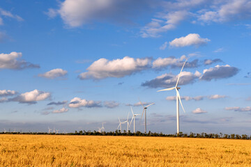 Windmills against a blue sky and a yellow field. Alternative energy sources
