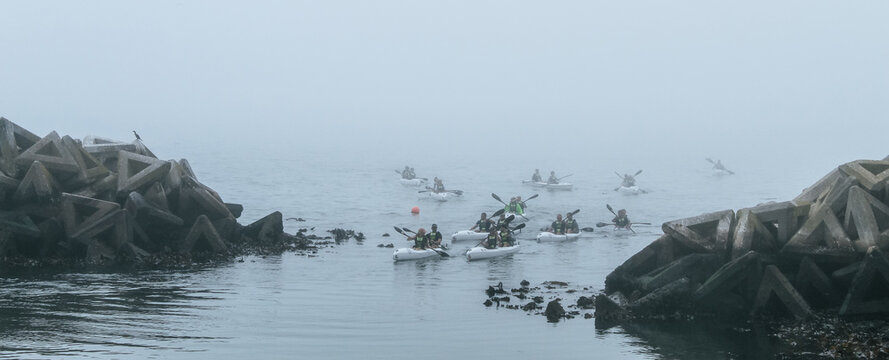 People kayaking on a misty day in Cape Town, South Africa
