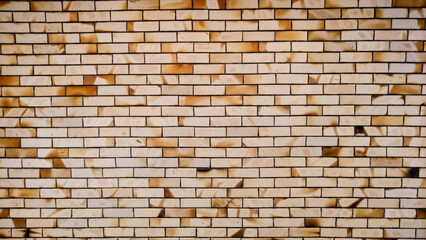 Parede de tijolos textura / brick wall texture