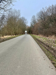 country road in autumn