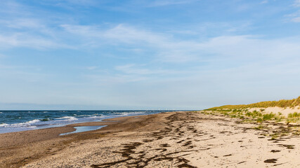 Darßer Weststrand 5