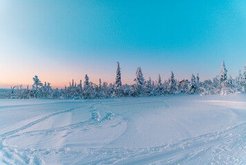 Winter landscape in lapland finland