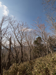 Monte Tsurugi, en el Valle de Iya, isla de Shikoku, Japón
