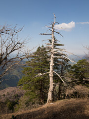 Obraz premium Monte Tsurugi, en el Valle de Iya, isla de Shikoku, Japón