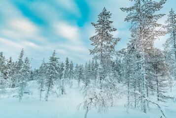 Winter landscape in Finnish Lapland