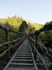 Okuiya Double Vine Bridge, en el Valle de Iya, isla de Shikoku, Japón