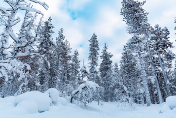 Winter landscape in Finnish Lapland