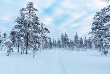 Winter landscape in Finnish Lapland