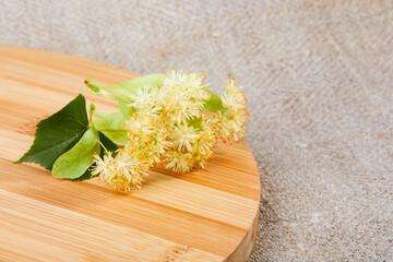 Fresh linden flowers isolated on a wooden background.