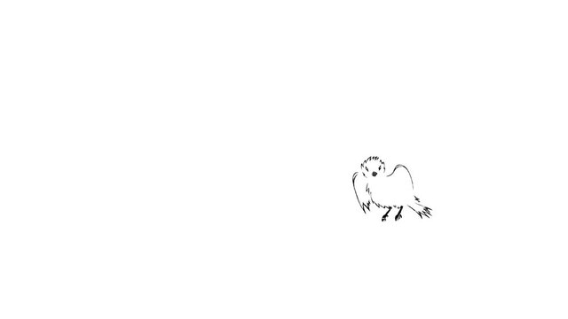 Black and white hand-drawn animation. Flight and landing of a small bird