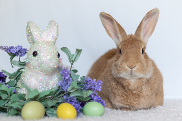 RufusRufus Rabbit loaf next to purple lilac flowers and Easter Bunny 