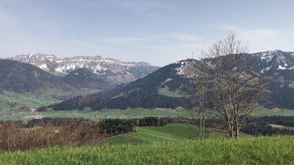 Landschaft
