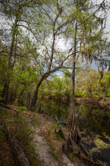 Beautiful Nature Park