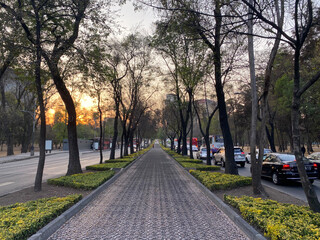 sunset in the city