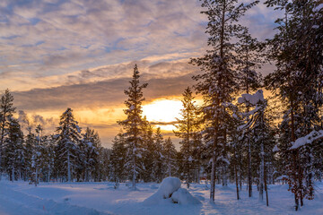 Snowy wilderness landscape, in Lapland, Finland, during a bright  sunset