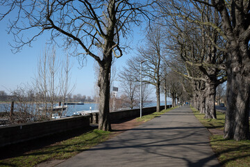 Outdoor sunny tranquil perspective view on pedestrian and bicycle lane on promenade riverside of Rhine River in Düsseldorf, Germany.