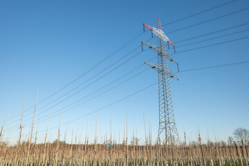 Outdoor sunny view of trees and agricultural field under high voltage post and cable on countryside in Düsseldorf, Meerbusch, Germany in winter season.