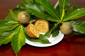 Jenipapo, American Genipa, ripe fruits cut in half showing their interior, with leaves of the same species. Typically Brazilian fruit very rich in iron and used to make liqueur