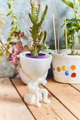 macetas de plástico impresión 3D