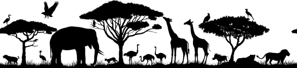Obraz na płótnie Canvas Vector horizontal seamless tropical african savannah with lions, elephant, girrafe, vulture, heron, hyena, common warthog, common warthog, grey parrot, African ostrich and crowned crane