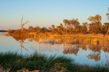  The Diamantina river at Birdsville, Queensland, Australia.