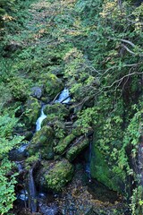 抱返り渓谷の回顧の滝の下流の情景＠秋田