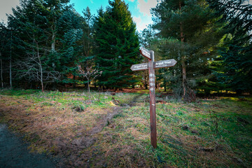Sign posts for the Argyll trail loop public path outside of Dunblane, Scotland. Bright spring afternoon of wooden public path signs.
