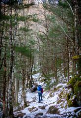 Obraz premium hiking in the woods