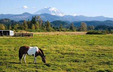 Paint Horse and Mount Rainier