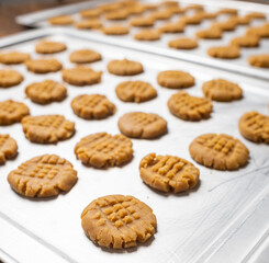 Walnut and Cranberries cookies dough. Selective focus.