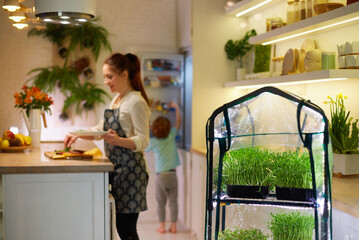 organic food growing, family home kitchen gardening, microgreen sprouts greenhouse