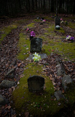 grave in forrest