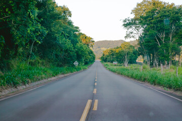 Fototapeta premium road in the forest